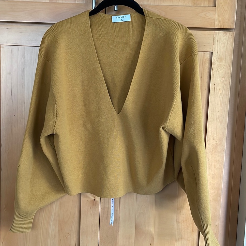 Babaton V Neck Sweater